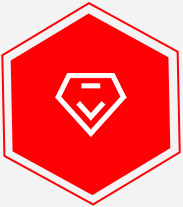 專(zhuān)業(yè)技術(shù)資詢與售后服務(wù)